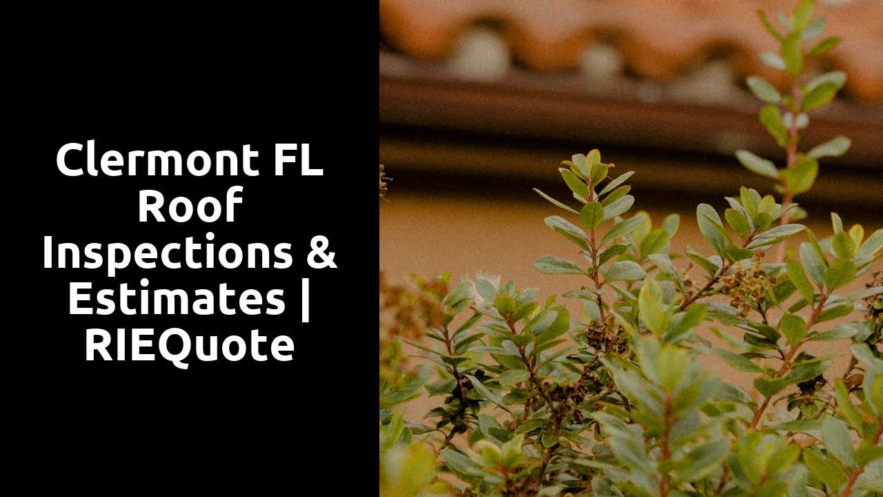 Clermont FL Roof Inspections & Estimates | RIEQuote